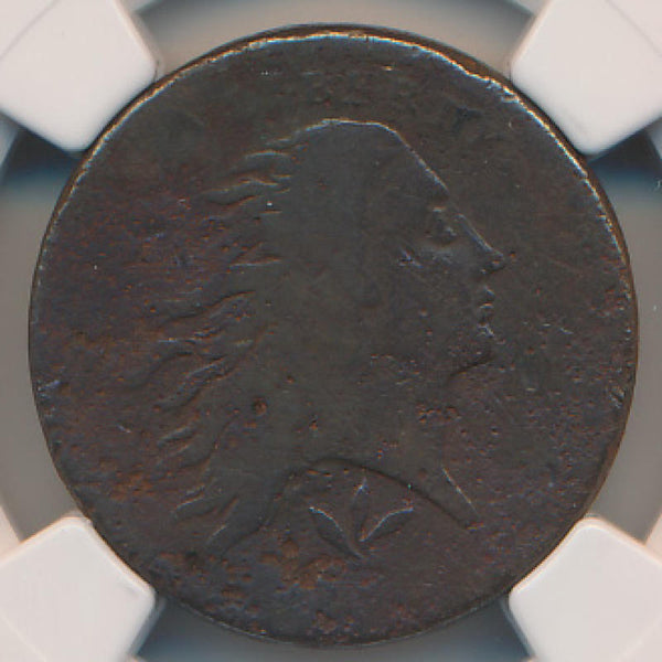 1793 Wreath Cent. Vine & Bars. S-9 NGC VG Details Image 2