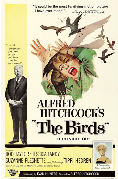 1963 The Birds Alfred Hitchcock Original One Sheet Movie Poster, Linen Backed & Framed.  Image 2